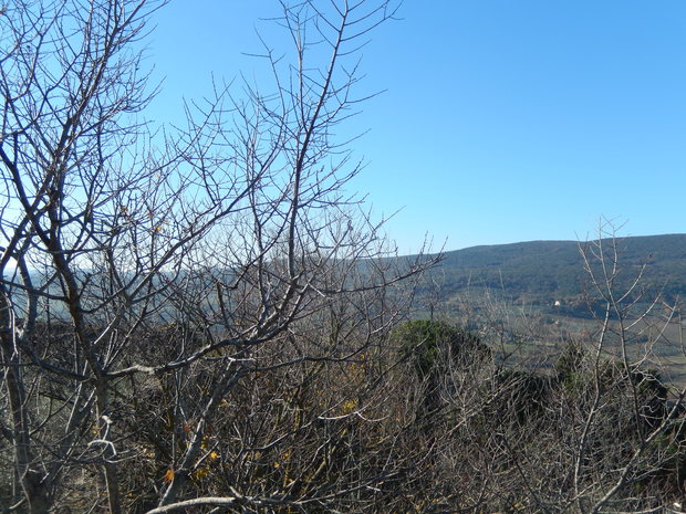 e0203793_2115514.jpg