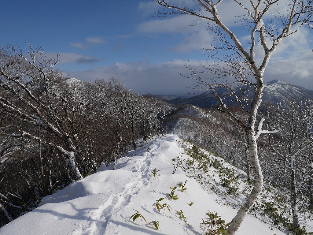 幌平山、12月19日_f0138096_2194520.jpg