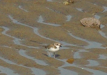 b0028598_19124210.jpg
