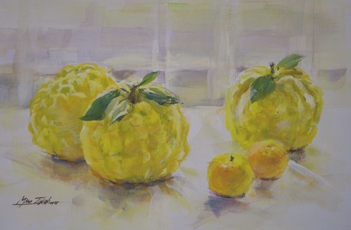 鬼柚子 : miwa-watercolor-garden