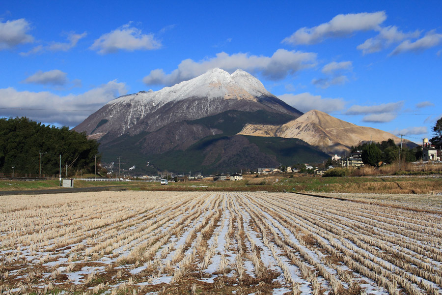 雪化粧した由布岳_e0093903_1901621.jpg