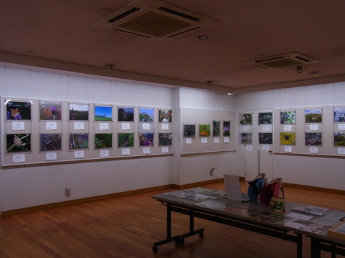 チョウ類保全協会写真展                      2014/12/20_d0251807_15283470.jpg