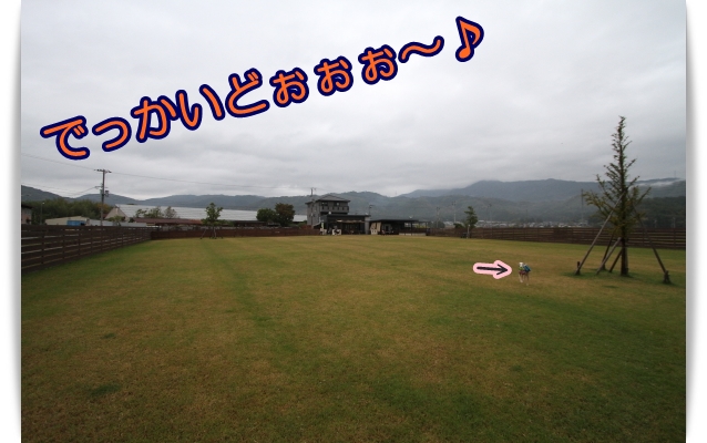 e0100007_15525066.jpg
