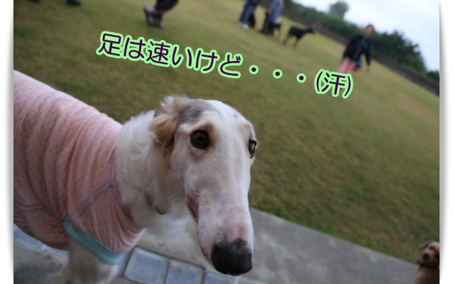 e0100007_15545325.jpg