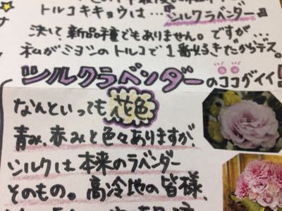 なおの花咲く通信_d0099708_1272378.jpg