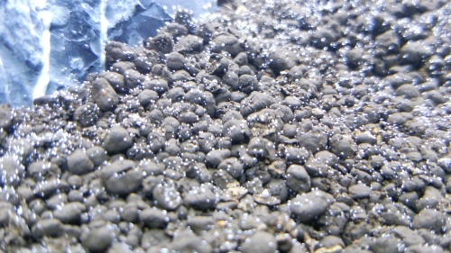 c0337613_13182020.jpg