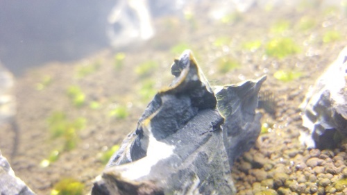 c0337613_13193743.jpg