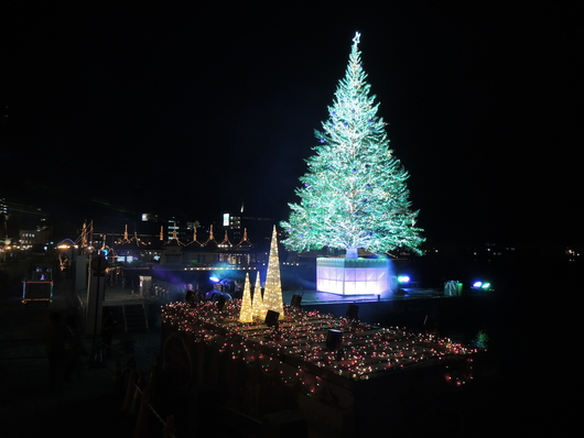 1泊2日で函館へ～その３～キラキラ美しい「2014はこだてクリスマスファンタジー」♪_e0199114_2133098.jpg