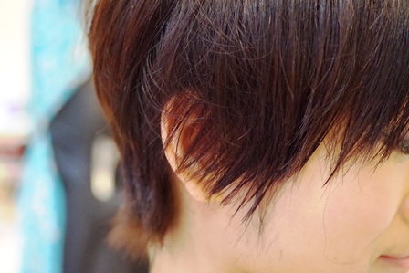 c0109726_12434262.jpg