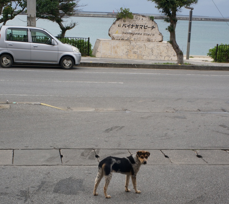 1年間の旅を振り返って②宮古島_b0233441_9421052.jpg