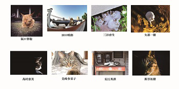 第６回　猫・ねこ写真展_c0194541_17284621.jpg