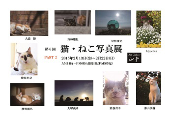 第６回　猫・ねこ写真展_c0194541_1729480.jpg