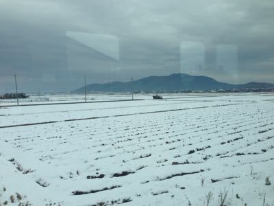 岐阜は雨_b0327247_16144494.jpg