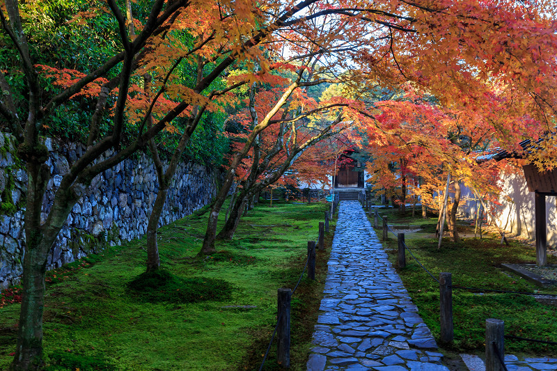 酬恩庵一休寺・紅葉の移ろい_f0155048_17383640.jpg