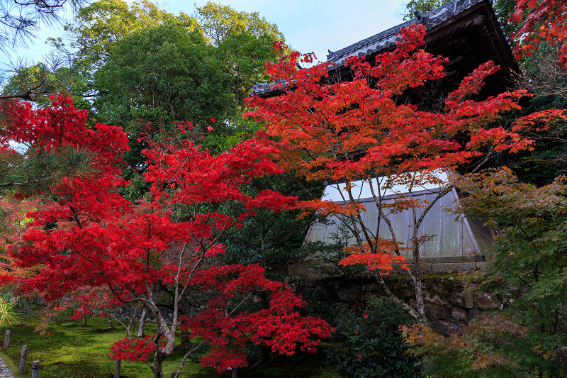 酬恩庵一休寺・紅葉の移ろい_f0155048_1743362.jpg