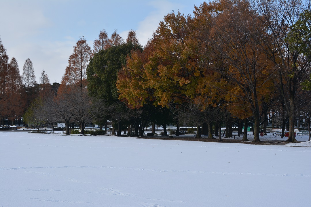 a0055650_0105169.jpg
