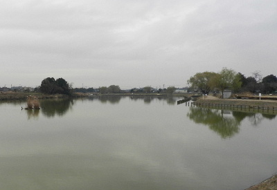 e0172950_16531324.jpg