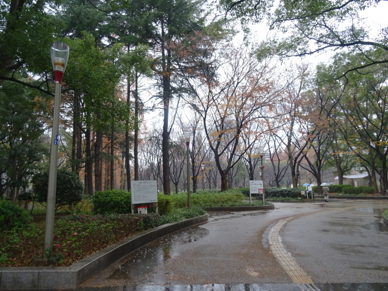 c0108460_23405850.jpg