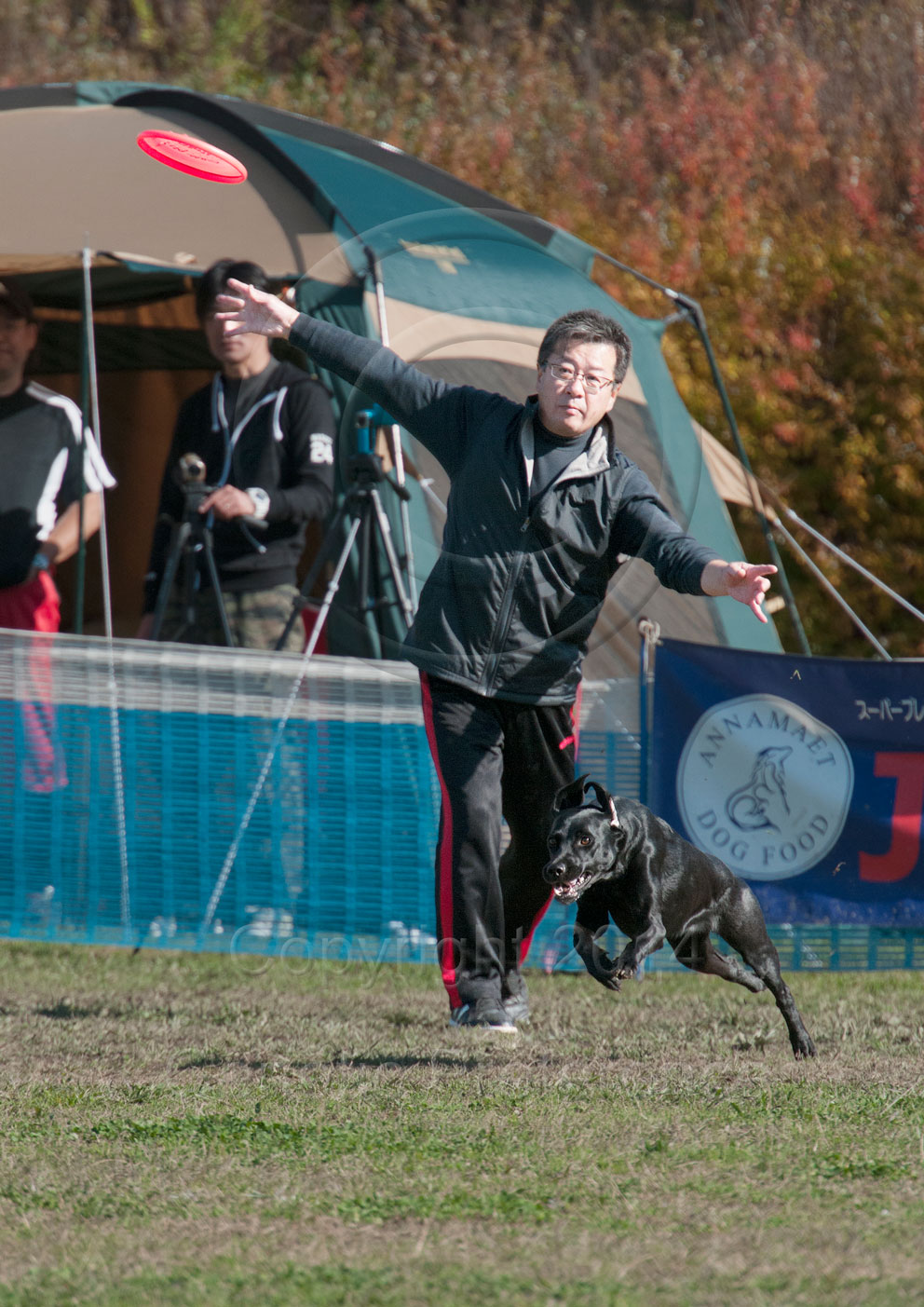 K9ディスクジャパン WestDiv. GAME20th 神戸農業公園2014 Vol.8_a0111162_11182755.jpg