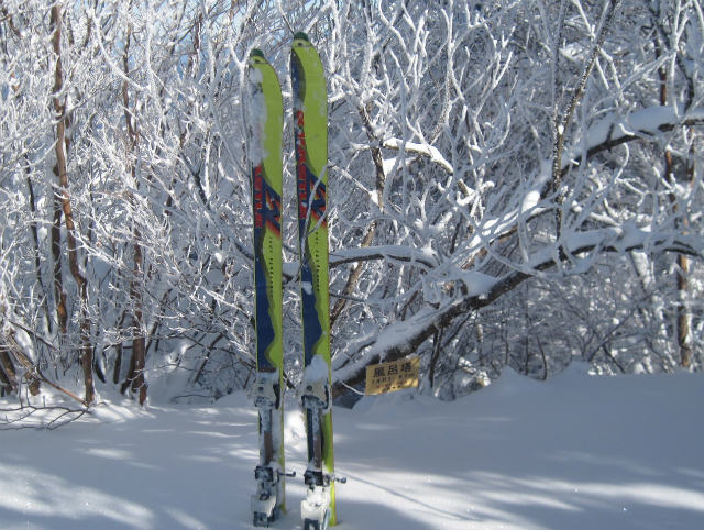 c0219866_89751.jpg