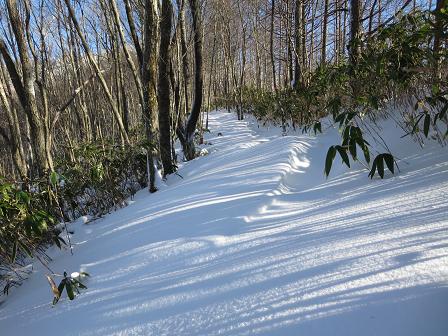 長者峰　　貸切ふかふかスノーシューイング_f0302771_1432934.jpg