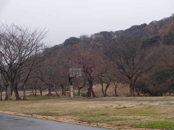 １２月２０日（土）池子の森自然公園_e0006772_13404135.jpg