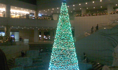 c0069380_13162670.jpg