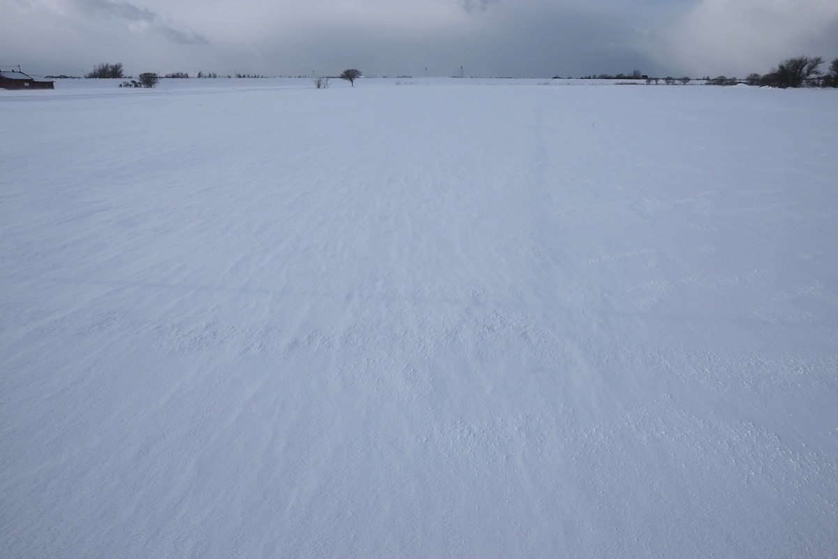 e0051186_79638.jpg