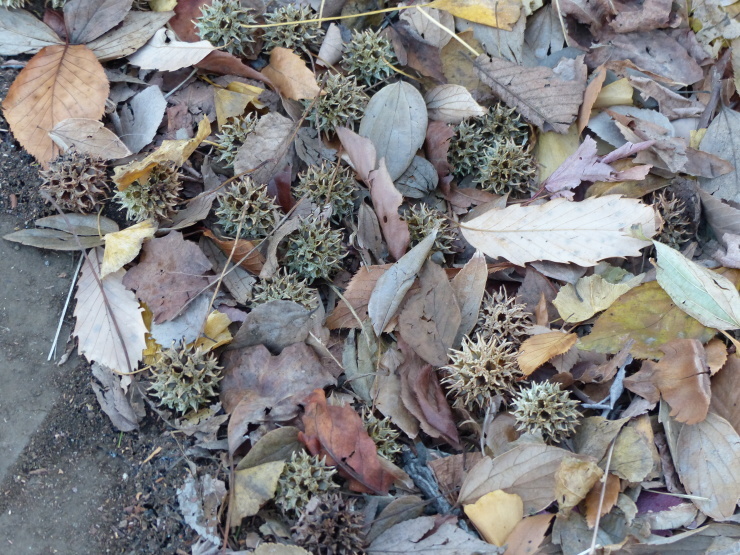 c0324393_22083413.jpg