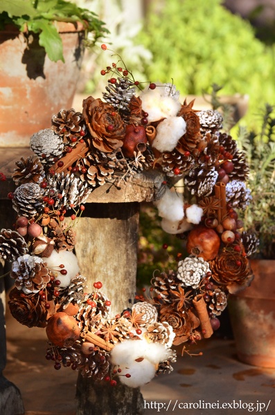 手作りリースと庭のもみの木　　Handmade Christmas Wreath & Garden Christmas Tree_d0025294_21191747.jpg