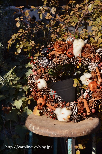 手作りリースと庭のもみの木　　Handmade Christmas Wreath & Garden Christmas Tree_d0025294_21194148.jpg
