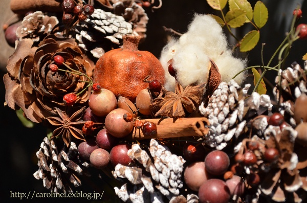 手作りリースと庭のもみの木　　Handmade Christmas Wreath & Garden Christmas Tree_d0025294_21195090.jpg
