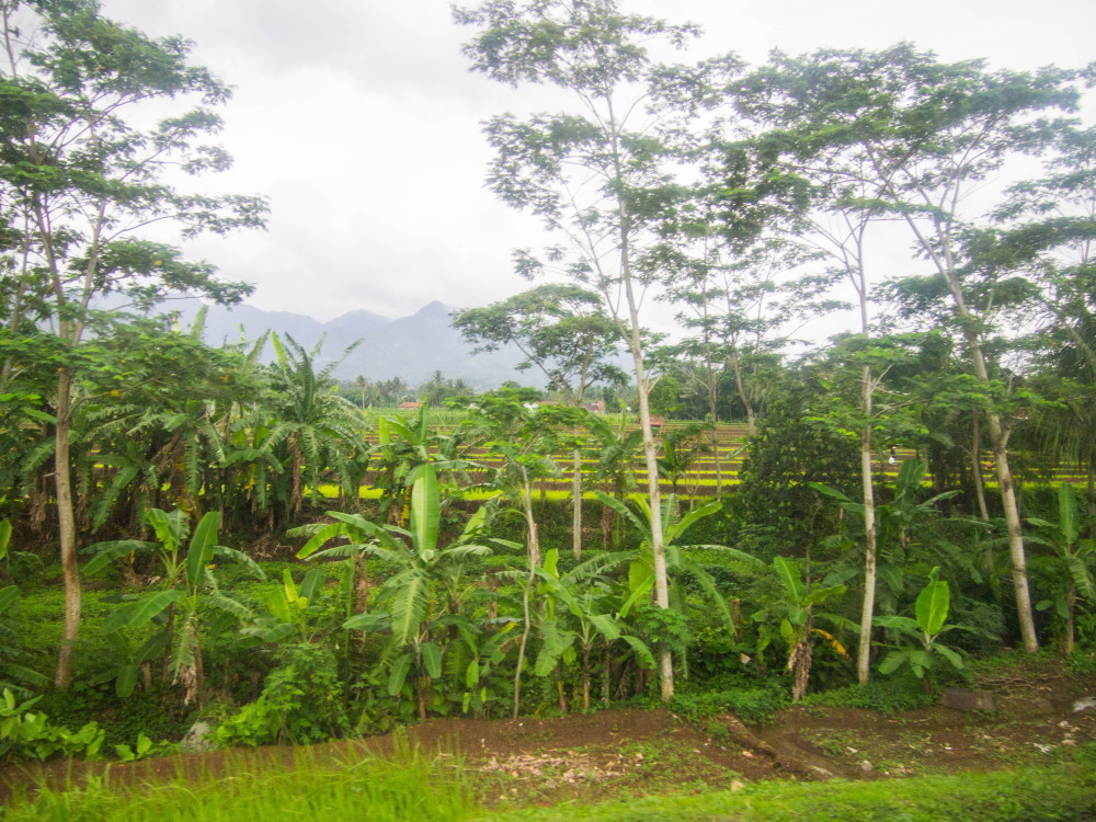f0276498_11075855.jpg