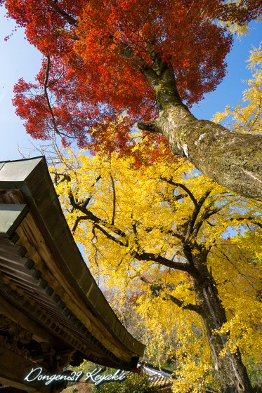 みやき町綾部八幡神社_e0090202_9531124.jpg