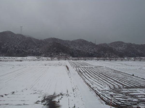 c0164709_1542524.jpg