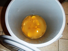オレンジジュースのような酸性水_a0043520_1927659.jpg