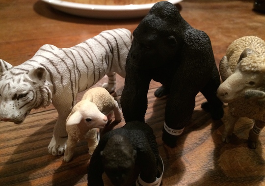 bee君 誕生日_e0136620_6582487.jpg