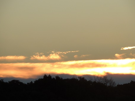 f0150620_79879.jpg