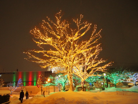 b0147224_21245864.jpg