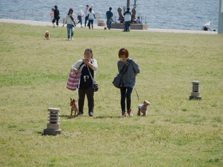 第16回マザーウルフ遠足 横浜ウォーキングレポート_e0191026_13381192.jpg