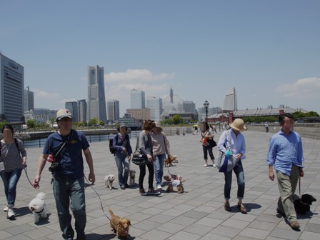 第16回マザーウルフ遠足 横浜ウォーキングレポート_e0191026_152845.jpg