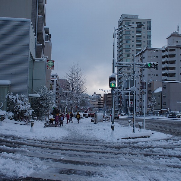 水曜日の大雪⛄️_a0148431_09413421.jpg