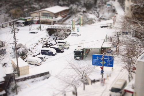 天気予報って当たるんですね。_c0148232_11205021.jpg