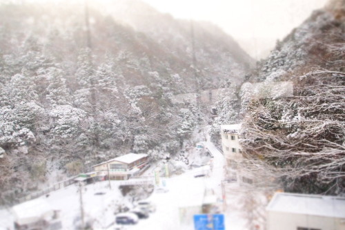 天気予報って当たるんですね。_c0148232_11205931.jpg