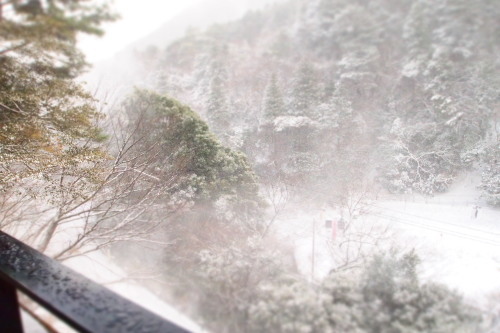 天気予報って当たるんですね。_c0148232_11210731.jpg
