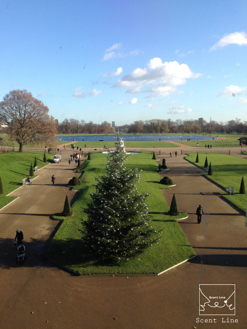 12月のイギリス旅 その1_c0099133_17164426.jpg