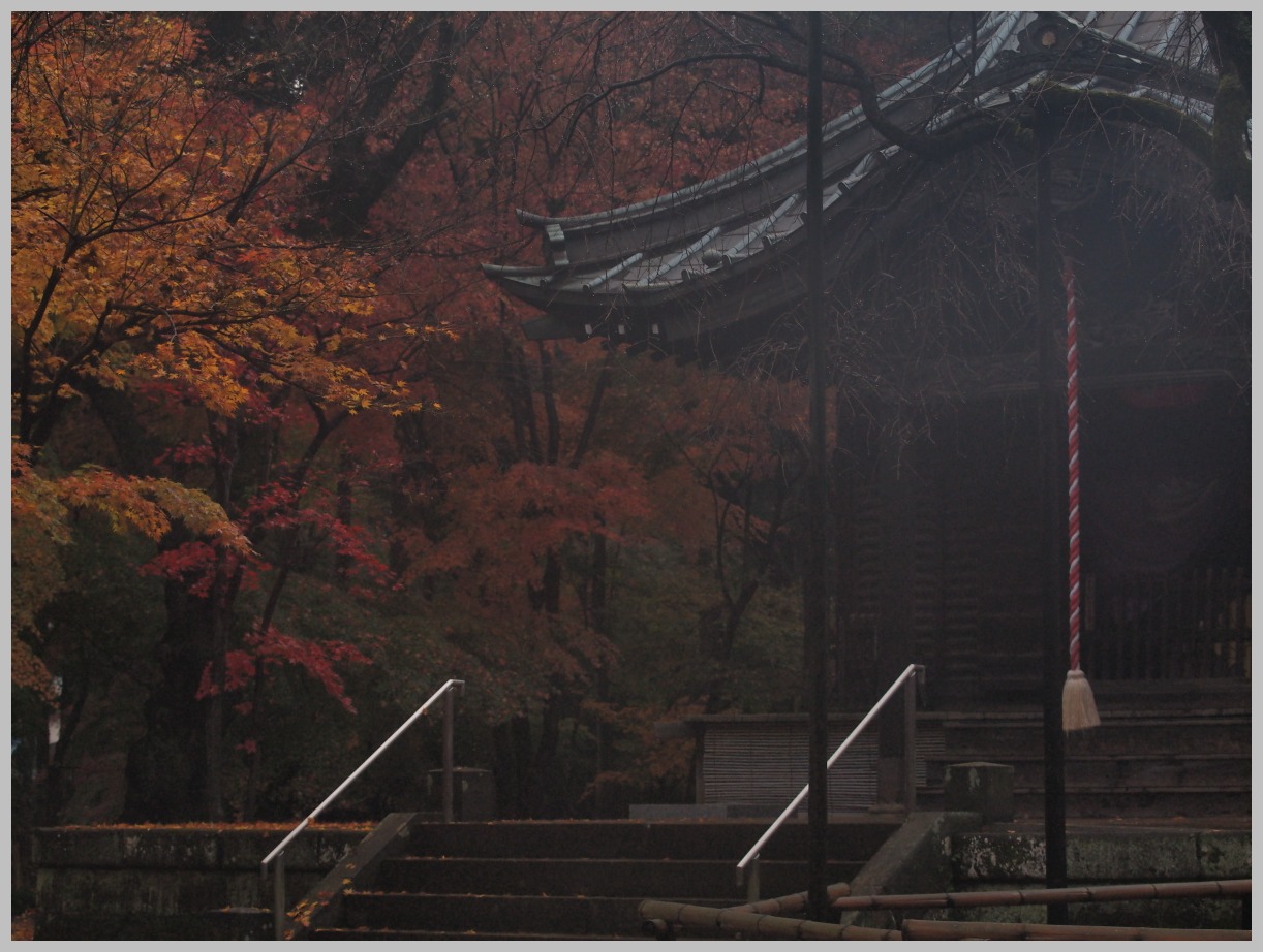 平林寺・雨天の紅葉-4　　　102)_c0068050_2217925.jpg