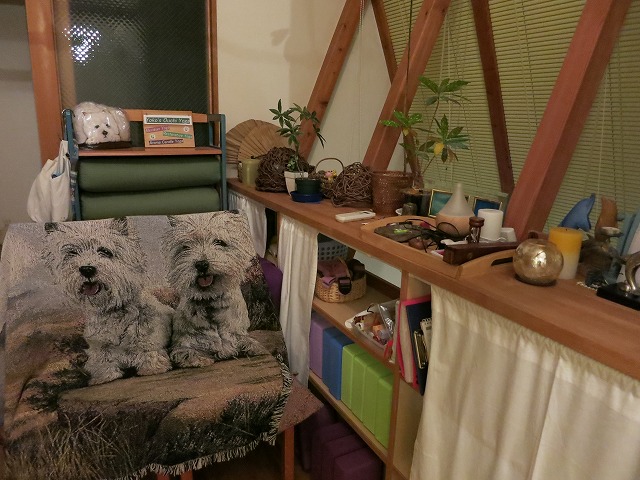 c0160751_1645456.jpg