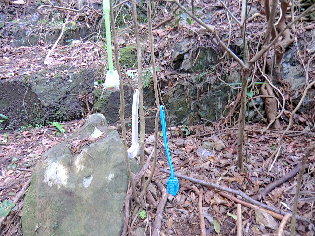 f0356953_21014740.jpg