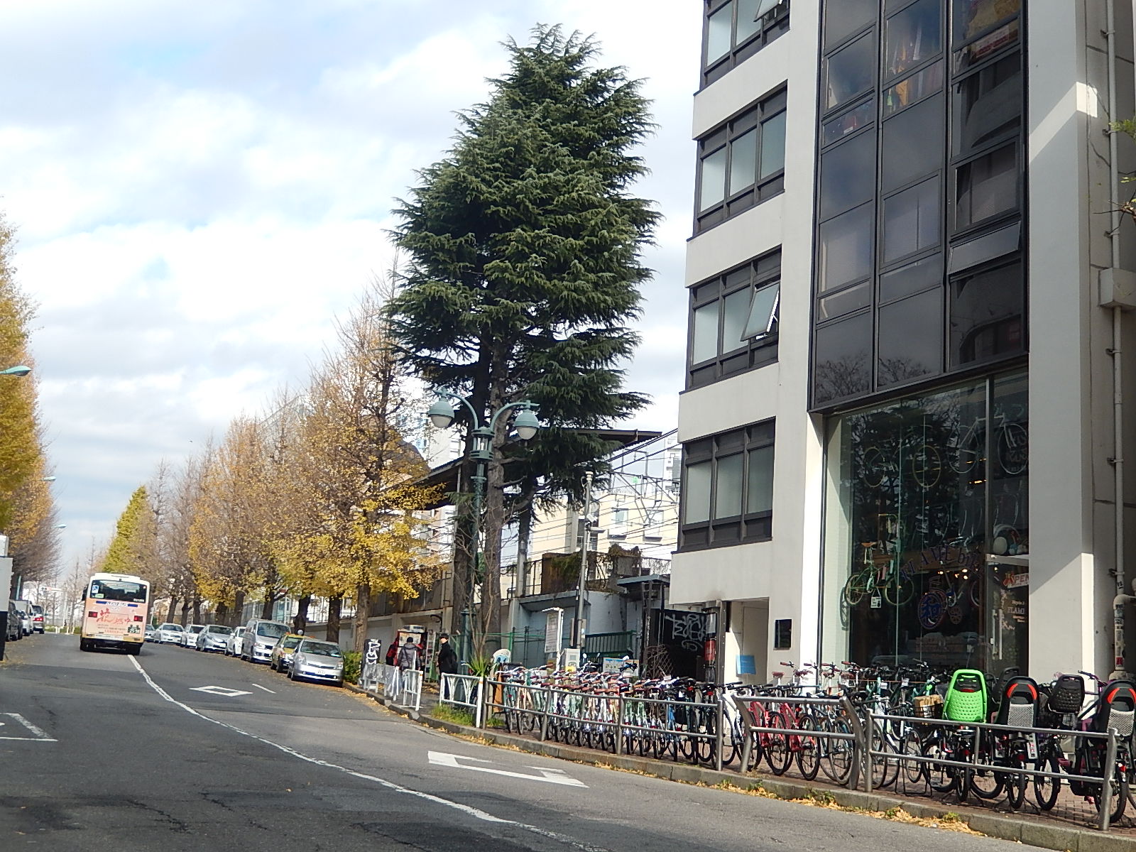 12月21日 渋谷 原宿 の自転車屋 FLAME bike前です_e0188759_1362473.jpg